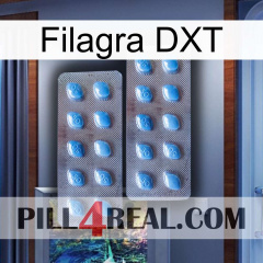 Filagra DXT viagra4